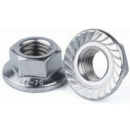 Hex Flanged Nuts with Serrated Flange A2 Stainless Steel DIN 6923 Flanged Nut